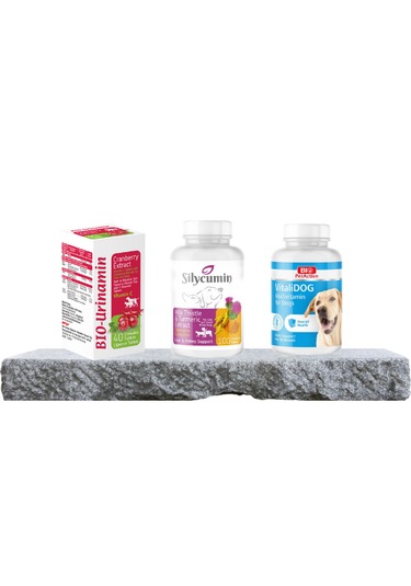 Purecanpati Köpek Destek Vitamin Seti Silycumin Vitalidog Bio Uri