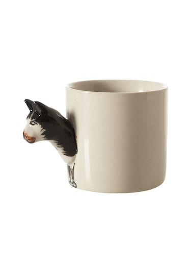 Mudo Home Dog Fincan 100 Ml Çok Renkli