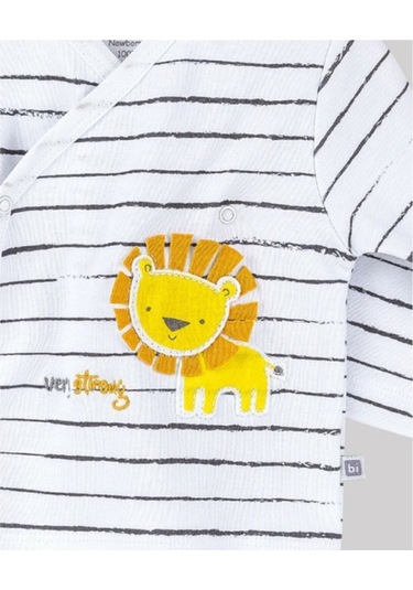 Hastane Çıkışı 10lu Baby Lion - Mavi 63160 Açık Bej