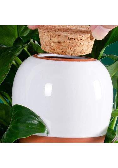 Bitki Sulama Topları, Kil Sulama - Yavaş Salınımlı Sulama