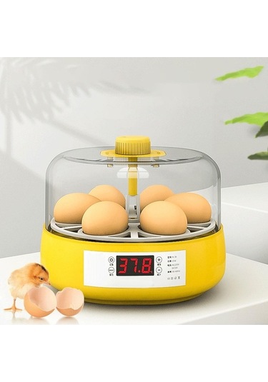 Pazly Yarı Otomatik 4 Yumurta Kuluçka Makinesi - Tavuk Ve Kaz İçin Sm