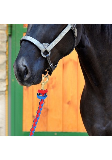 Leezsing Dayanıklı Pirinç Kanca Ve Örgülü Pp İp İle At, Keçi Ve Koyunlar İçin Eğitim Ve Yönlendirme İpi - 2.5m Mavi-siyah Mavi - Siyah