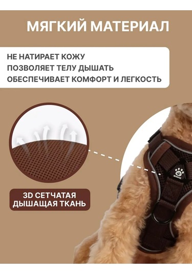 Tori Küçük Ve Orta Irklar İçin Tasmalı Köpek Kayışı Ve Kedi Şeridi 417829533