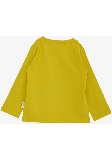 Breeze Erkek Çocuk Uzun Kollu Tişört Basic 1-4 Yaş, Fıstık Yeşili-fıstık Yeşili