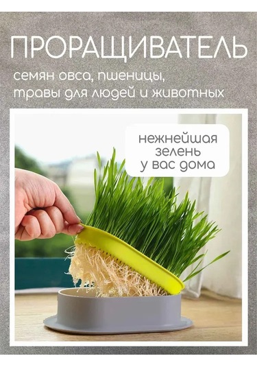 Teltree Kedi Köpek Çim Bitirme Seti - Su Yetiştirme Tepsisi, 5 Tohum Paketi, Gri Ve Parlak Yeşil Abs Plastik