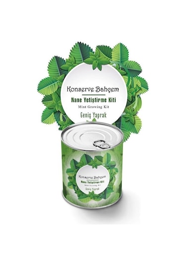 Buffer Konserve Bahçem Nane Yetiştirme Kiti Mavi