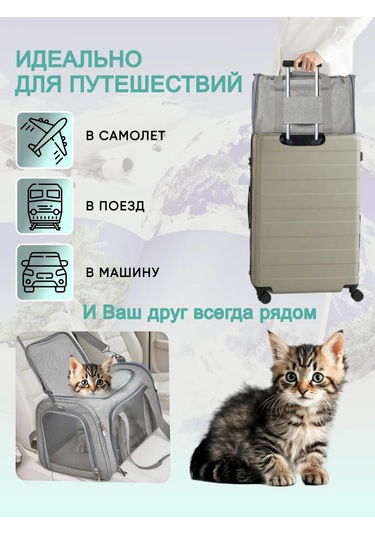 Rnb4pets Kedi Ve Köpek Taşıma Çantası 100884934