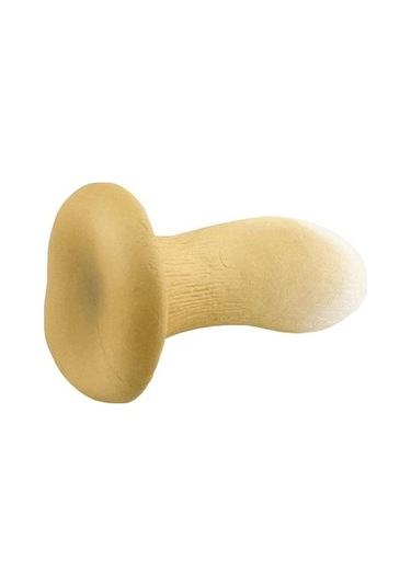 Novahub Mantar Heykelcik Renkli Dekoratif Zarif Güzel Minyatür Süs Masa Dekor J J