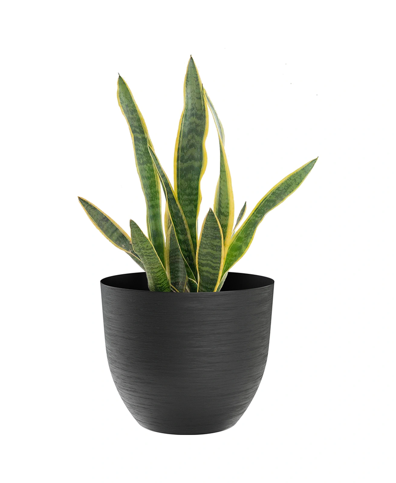 Over 38 Siyah Plastik Saksı + Su Seviyesi Göstergesi 38 Cm