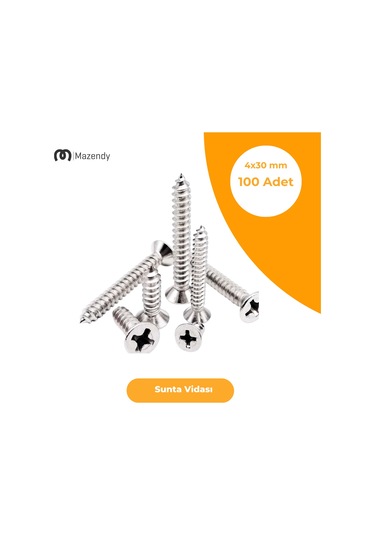 Sunta Vidası Galvanizli 4x30 Mm 100 Adet -