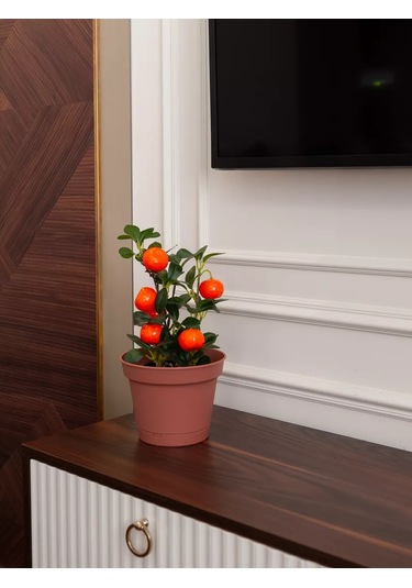 Grhome Otomatik Sulama Ve Altlık İle Saksı Plastik Çiçek Saksısı Seti 245365373