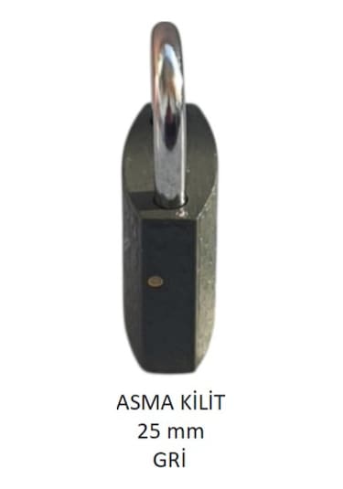 Adilon Asma Kilit, 25 Mm Gri
