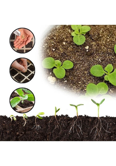 Neevoyu 100 Adet 8cm Biyodegradable Fidan Suketi + 100 Bitki Etiketi + Fidan Çekici - Organik Toprak Dostu Fidan Yetiştirme Seti