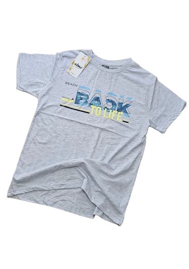 Almi Erkek Çocuk T-shirt Gri