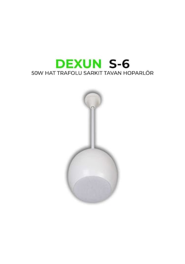 Dexun S-6t Hat Trafolu 50w Sarkıt Tavan Hoparlörü