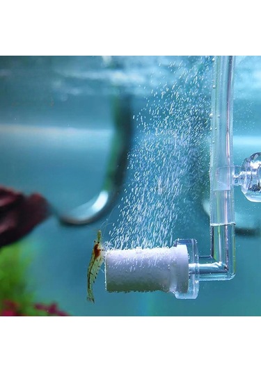 Suntek Akvaryum Co2 Difüzörü Sessiz Silindir İçi Hollanda-200