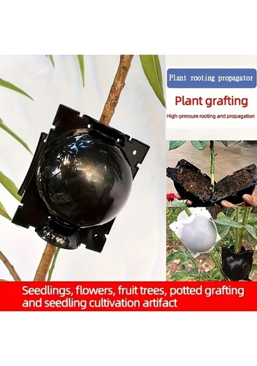 Willowhaven 10 Adet Büyük Siyah Kök Kutusu 20 Bağ Teli Seti Bahçe Çoğaltma Ve Aşılama