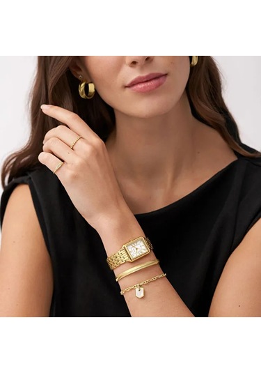 Fossıl Ja7210-710 Çok Renkli