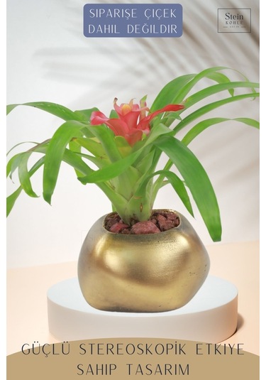 Çiçek Saksısı Dekoratif Kaktüs Saksı 1 Adet Spiral Oval Model - Altın Eskitme