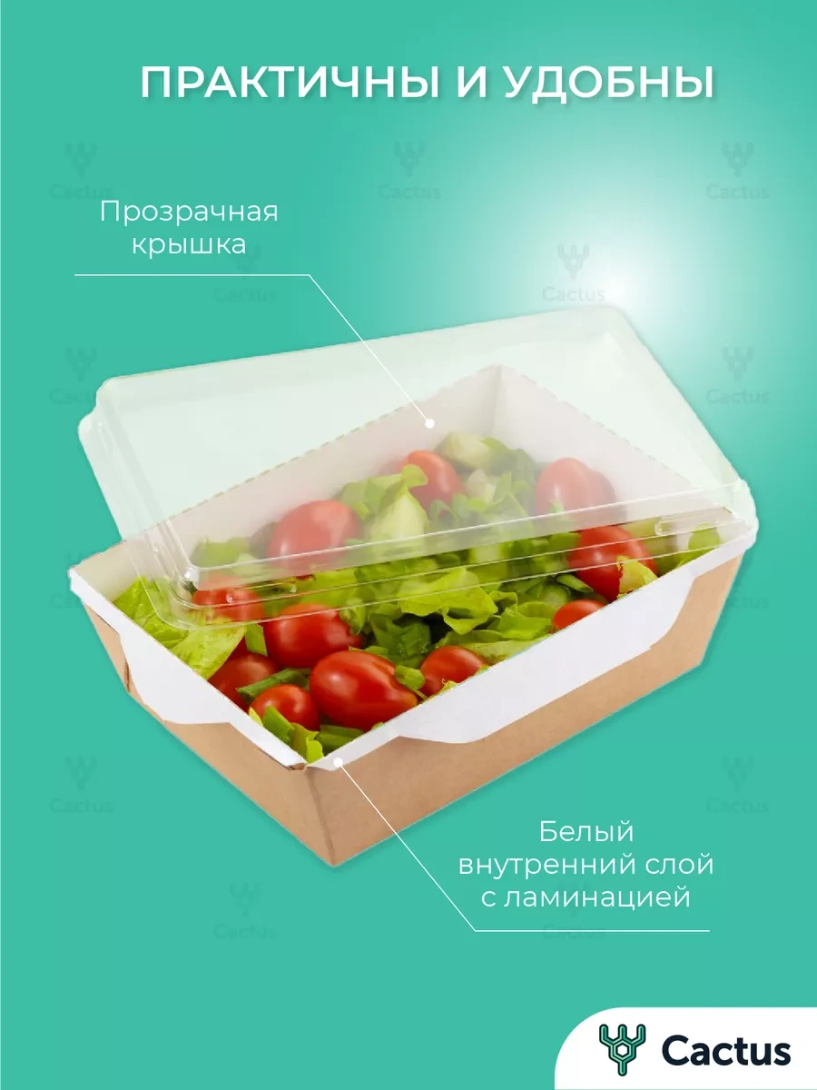 Cactus Tek Kullanımlık Trifle Kutuları, 800 Ml Gıda Kapları 19075641 100 adet