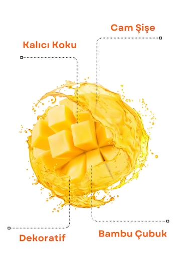 Axodine Mango Bambu Çubuklu Oda Kokusu 100 ML