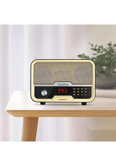 Polosmart FS67 Nostaljik Radyo