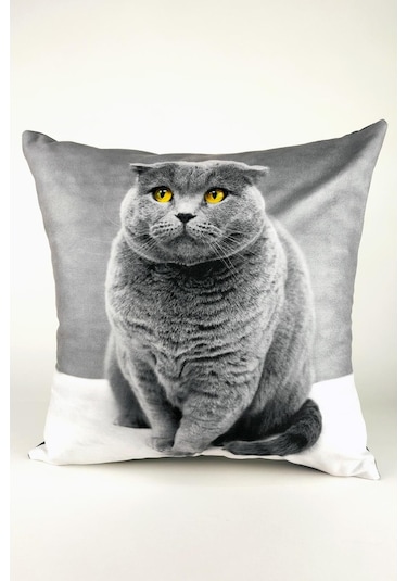 Scottish Fold Kırlent Kılıfı