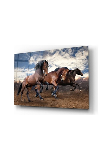 Hırçın Atlar Cam Tablo
