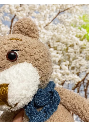 Alize Alíce Softi 669 Peluş İplik - 5 Adet 251030239