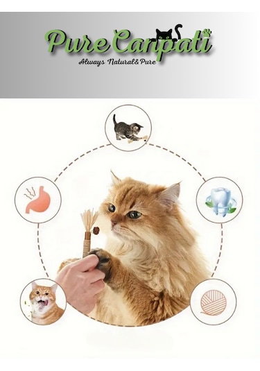 Purecanpati Matatabi Çubuğu 2 Adet