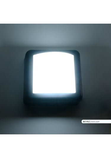 ACK 4W LED Duvar Apliği 6500K Beyaz Işık Siyah Kasa Dekoratif Duv Siyah