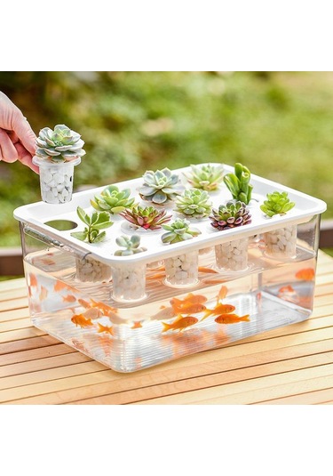 Suntek Hidroponik Yetiştirici Kutusu 12 Delik İç Mekanda Sarı