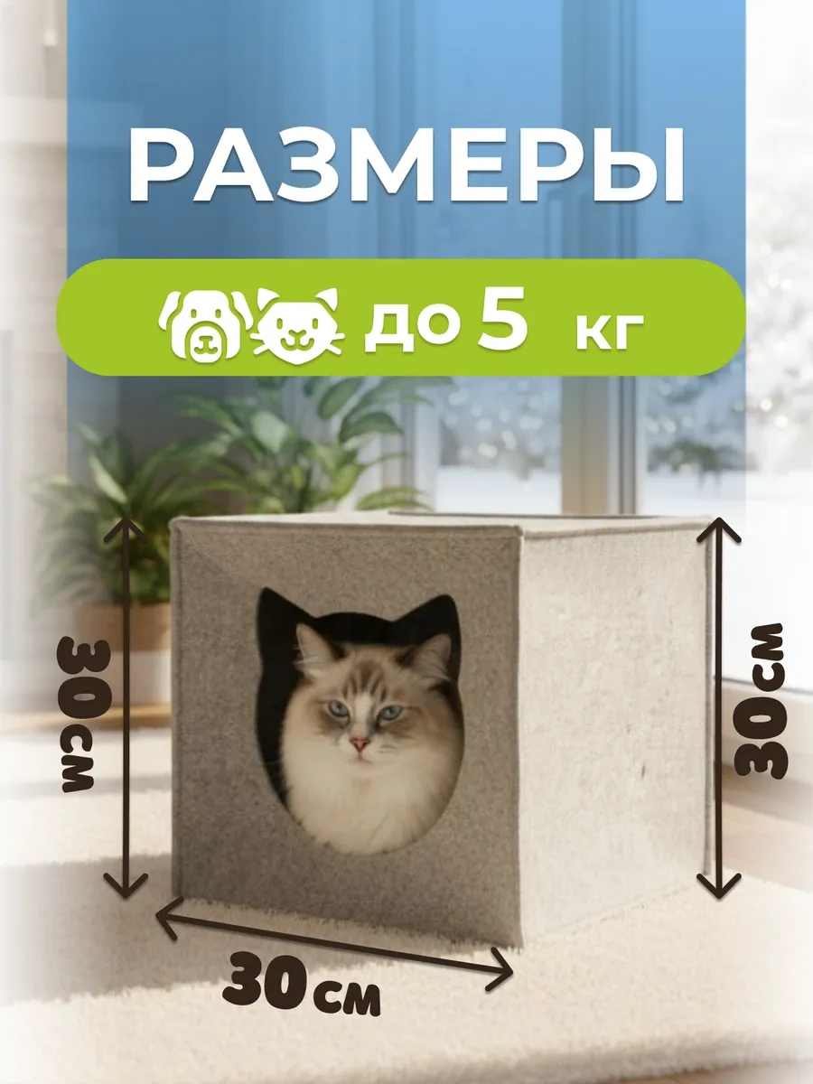 Eva Pets Küçük Ve Orta Boy Irklar İçin Kedi Ve Köpekler İçin Kabin Yatak 178638212