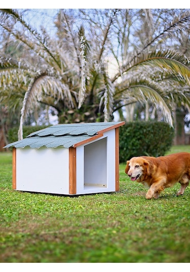 Mandu Standart Köpek Kulübesi 55 x 53 x 74 CM