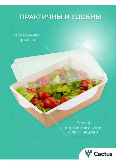 Cactus Tek Kullanımlık Trifle Kutuları, 800 Ml Gıda Kapları 224868223 100 adet