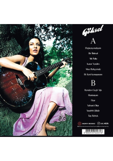 Göksel En İyileri Plak 2001 - 2007