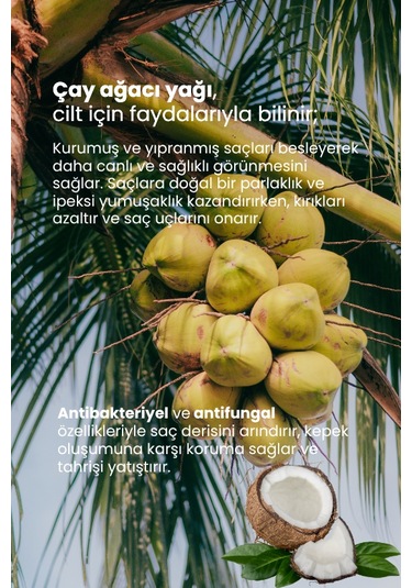 Hindistan Cevizi Yağı