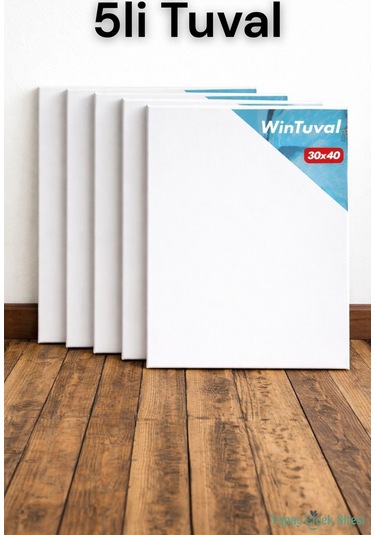 WinTuval Standart Tuval 30x40 5li