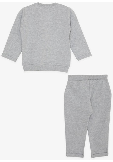 Breeze Kız Bebek Eşofman Takımı Sevimli Hayvancık Dostlar 4 Ay-1.5 Yaş, Açık Gri Melanj-açık Gri Melanj Açık Gri Melanj