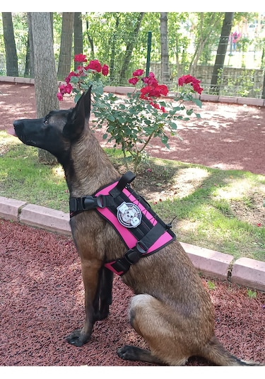 Tactical Göğüs Tasması Taktik Tasma Pembe