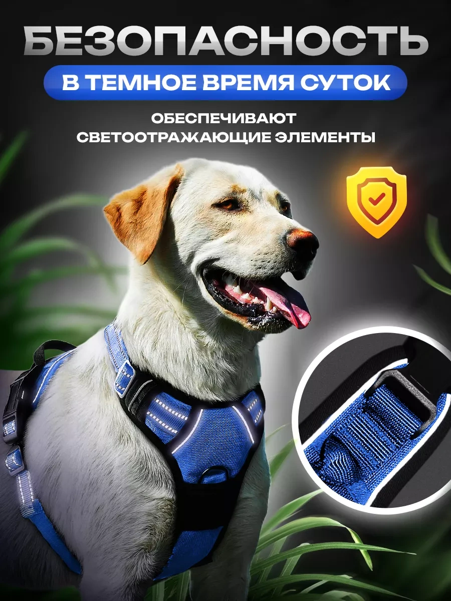 Petfort Orta Ve Büyük Irk Köpekler İçin Anatomik Koşu Kayışı 175517317 Mavi