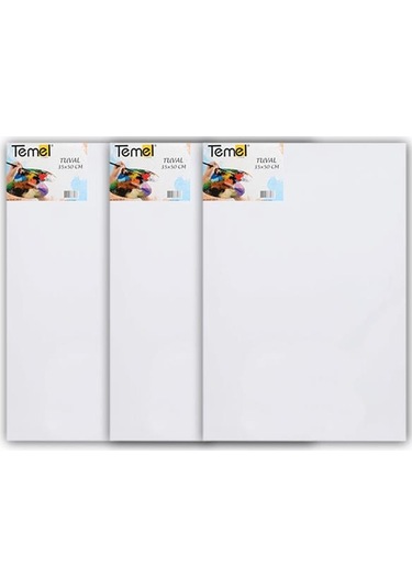 Temel 35x50 Cm 3 Lü Tuval