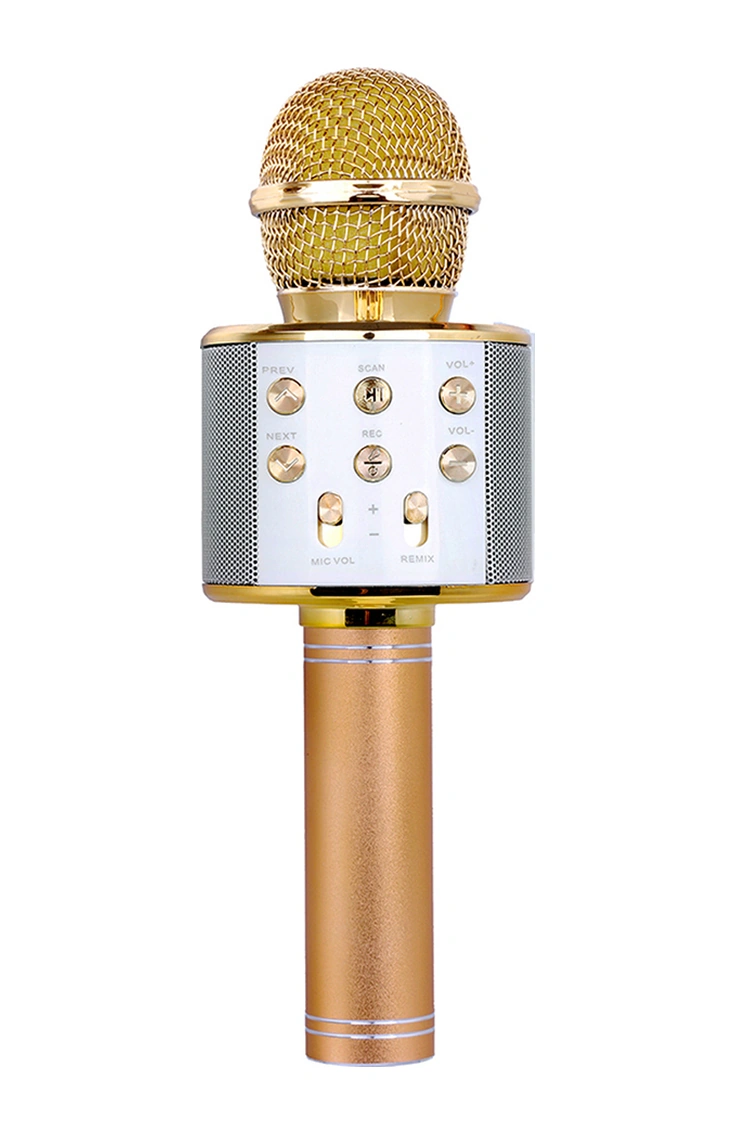 Yuntech01 Altın Bt Kablosuz Mikrofon Ve Hoparlör Combo, Üç Katmanlı Gürültü Azaltma, Tf Kart Desteği, Çoklu Cihazla Uyumlu, Profesyonel Karaoke Deneyimi