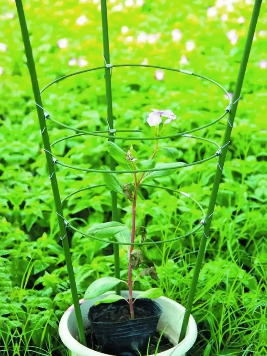 Green Apple Bitki Destekleyici Bahçe Halkası 3 Halkalı 45 Cm 262032888