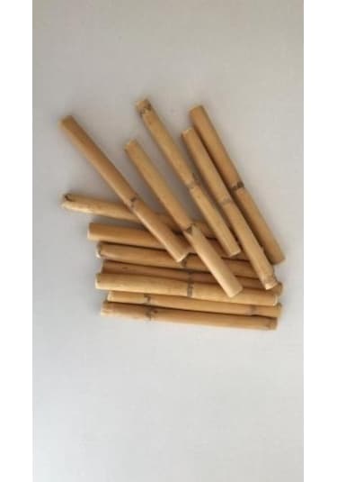 Bambu 10 Cm 12 'li Paket