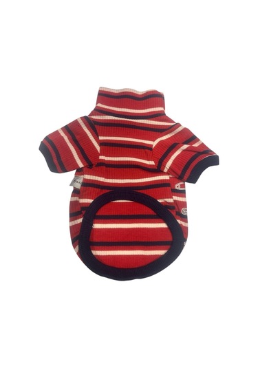 Toy Teddy Esnek, Küçük Köpek Triko Sweatshirtü