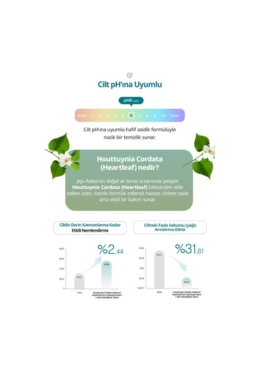 Gözenekleri Temizleyen Köpük Goodal Houttuynia Cordata Hyaluron Soothing Pore Cleansing Foam