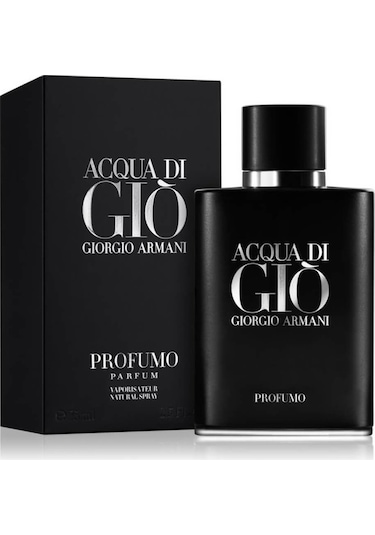 Gıorgıo Armanı Aqua Dı Gıo 100 ML Homme