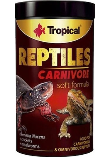 Tropical Reptiles Carnivore Soft Etobur Ve Omnivor Sürüngenler İç