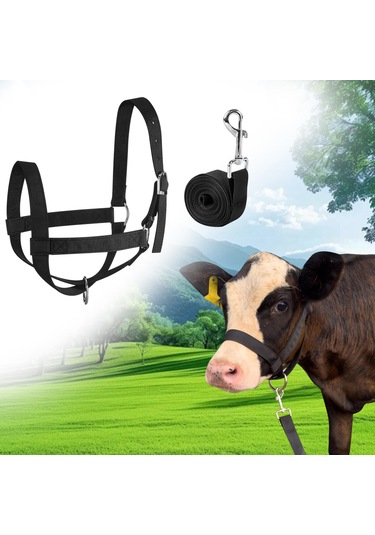 Homyl Bull Bridle Head Harness Supply Naylon İnek Yular M Siyah